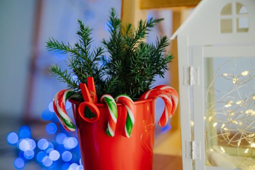 Red pot with Christmas ledins and juniper twigs. Red clothespin with Christmas tree. White little house garland with warm light. Blue bokeh in the background.