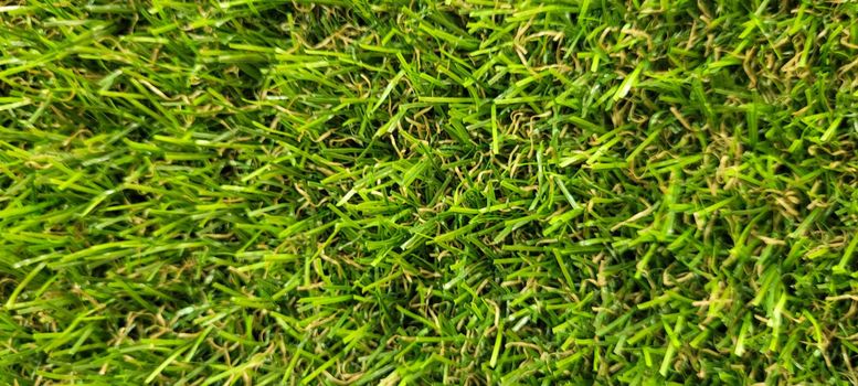 green lawn image that can be used as a natural background with cobblestones