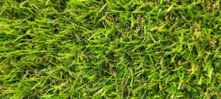 green lawn image that can be used as a natural background with cobblestones