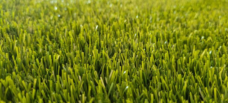 green lawn image that can be used as a natural background with cobblestones