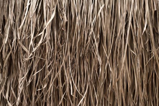 Straw texture. Tropic roof summer background