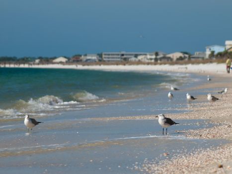 Beach houses at Mexico Beach, Florida.