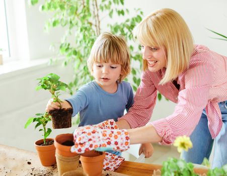 mother and son little boy planting flowers and having fun at home or in the garden or greenhouse
