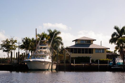 A view of Everglades from the water.