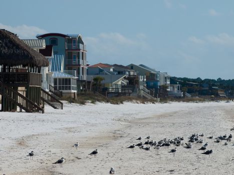 Beach houses at Mexico Beach, Florida.