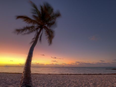 Beautiful sunrise at Key West, Florida.