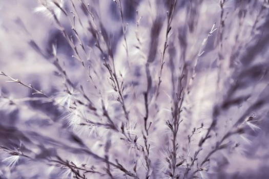 Rural landscape, pastel backdrop and environmental design concept - Vintage rustic grass and field, abstract nature background