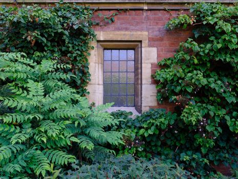 Academia Image Of Leaves Surrounding A Window On The Wall Of Prestigious University College In The United Kindom