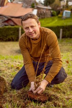 Man plants tree in the garden. Nature, environment and ecology concept