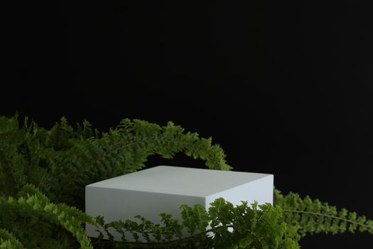 White podium on the black background with tropical leaves. Podest for product, cosmetic presentation. Creative mock up. Pedestal or platform for beauty products