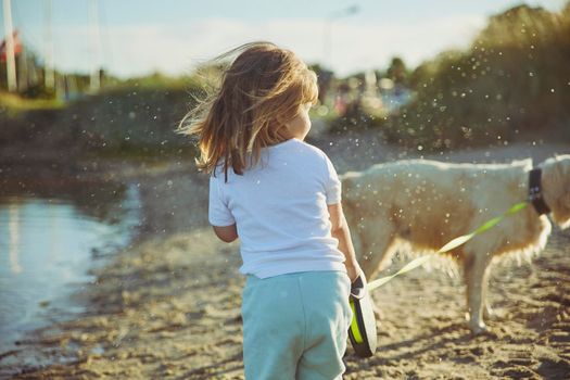 Dog splashing water on baby after bath on the beach at sunset.