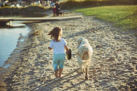 Charming child walking the dog on the beach at sunset.