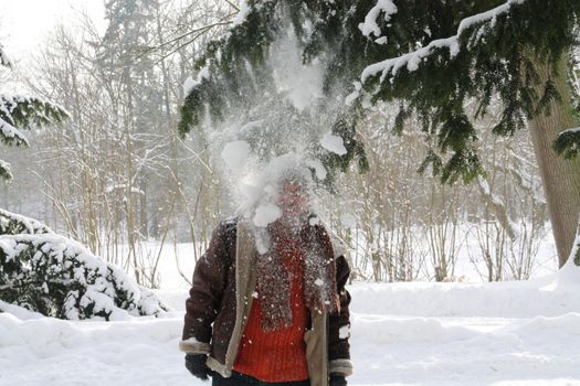 The snow flying from the branch of the Christmas tree completely hid the face of a man in winter clothes standing on the snow-covered ground. High quality photo