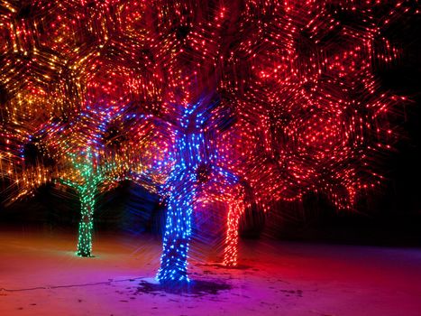 Trail of Lights at Denver Botanical Gardens at Chatfield.