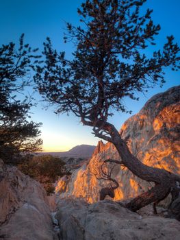 Sunrise at Garden of the Gods Rock Formation in Colorado.