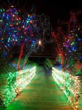 Trail of Lights at Denver Botanical Gardens at Chatfield.