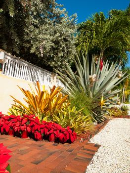 Front yard decorated for Christmas on Key West, Florida.