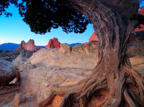 Sunrise at Garden of the Gods Rock Formation in Colorado.