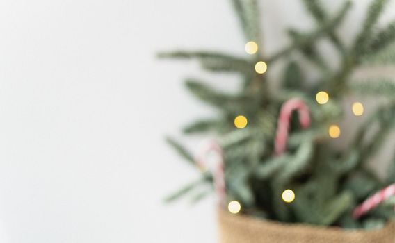 Decorated Christmas tree with candy canes and lights on a blurred background. Preparing for Christmas and New Year 2023