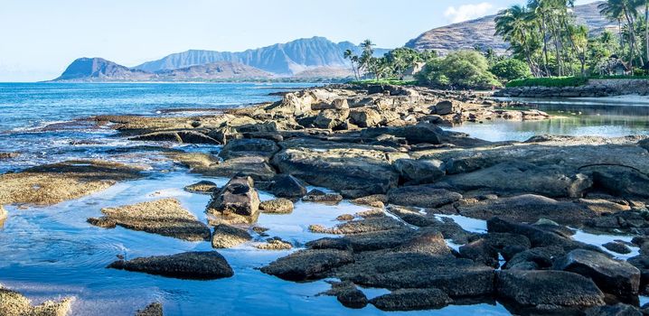 beautiful blue sky and beach scenes on secret beach oahu hwaii