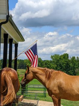 two horses and american flag with cloudy sky