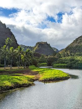 scenery at wimea botanical garden in oahu hawaii