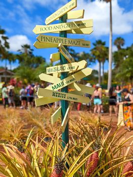 Dole pineapple plantation in Wahiawa, Oahu, Hawaii, USA