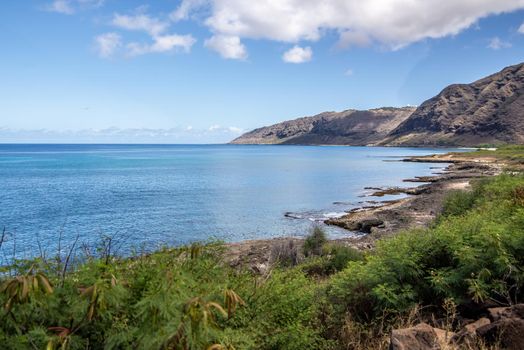 Tropical Paradise Beach Oahu Hawaii