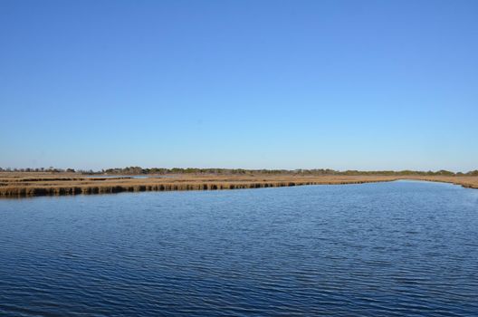 a lake or river with brown grasses or plants and shore