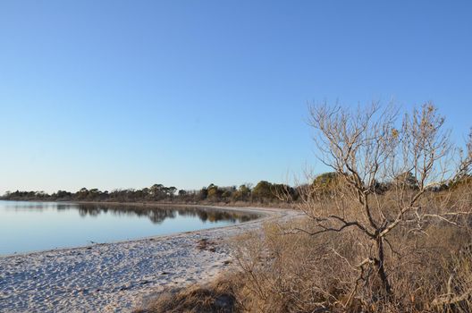 a lake or river with brown grasses or plants and shore with sand