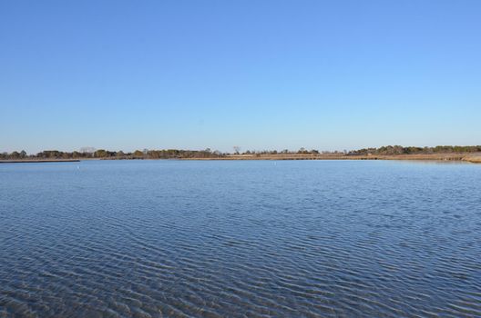 a lake or river with brown grasses or plants and shore