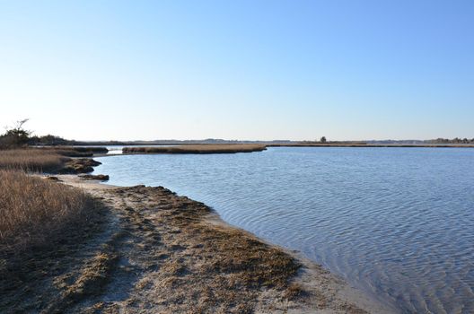 a lake or river with brown grasses or plants and shore