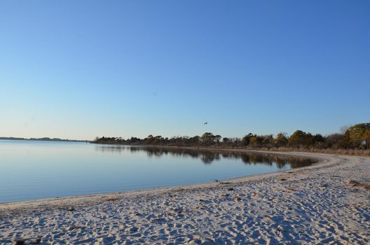 a lake or river with brown grasses or plants and shore with sand