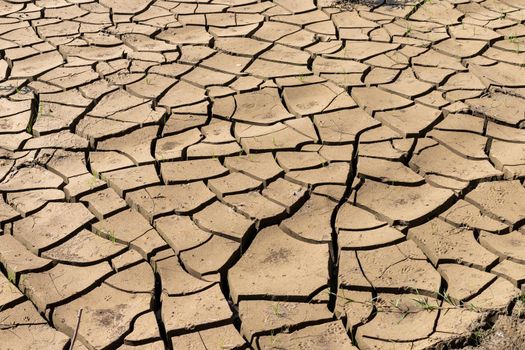 Fractured or cracked ground soil due global warming