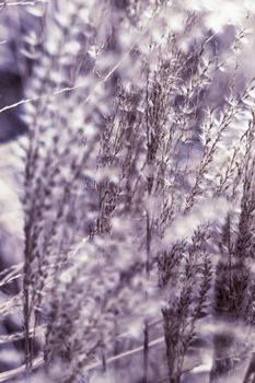 Rural landscape, pastel backdrop and environmental design concept - Vintage rustic grass and field, abstract nature background