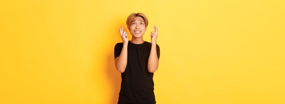 Portrait of hopeful worried asian man cross fingers good luck, begging look up, standing yellow background.