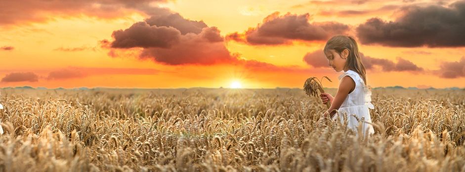 A child in a wheat field. Selective focus. Nature.