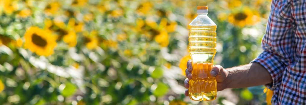 Sunflower oil in the hands of a male farmer on the field. Selective focus. Nature.