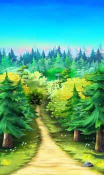 Road through the forest on a sunny day. Digital Painting Background, Illustration.