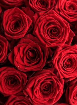 Blooming rose, flower blossom and Valentines Day gift concept - Gourgeous luxury bouquet of red roses, flowers in bloom as floral holiday background