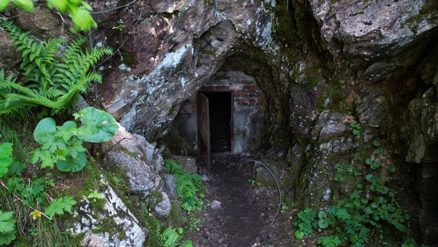 The entrance to the stone cave is hidden by greenery. Green grasses, bushes and ferns hide a small stone gorge. Artificial entrance to cave with doors. The path leads inside. Iron doors at entrance