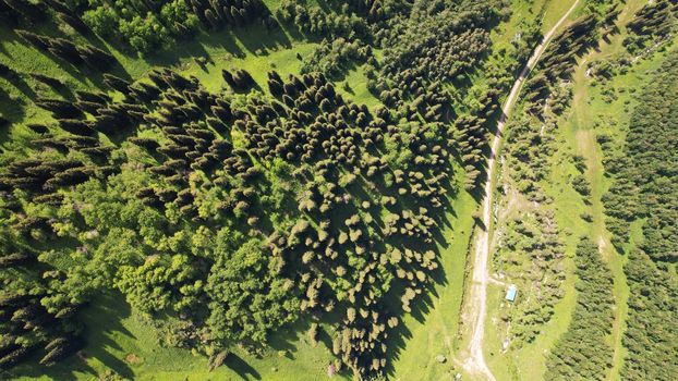 Top view of coniferous trees and fields. A path through the forest is visible. Mountainous terrain. High green hills of the Trans-Ili Alatau. Mountains of Kazakhstan. Gondola road