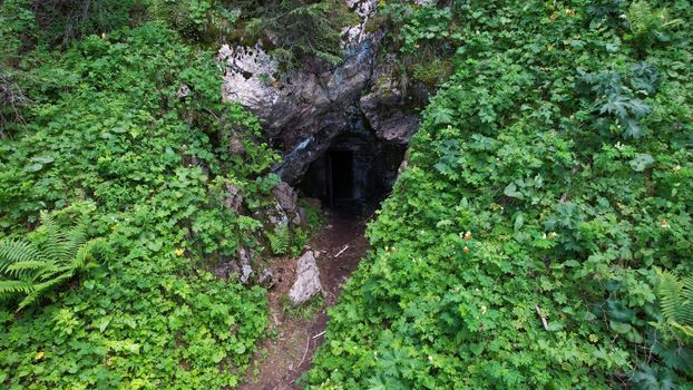 The entrance to the stone cave is hidden by greenery. Green grasses, bushes and ferns hide a small stone gorge. Artificial entrance to cave with doors. The path leads inside. Iron doors at entrance