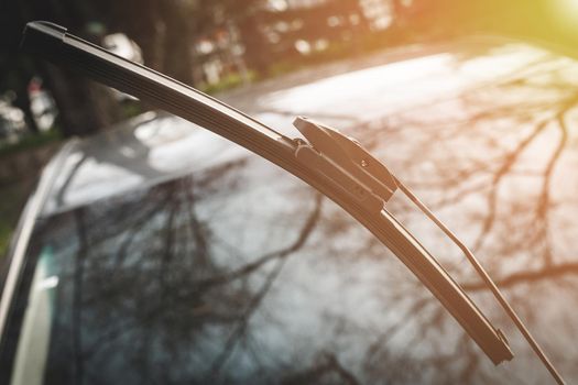 Car wiper raised above the windshield for maintenance.
