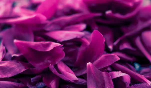 Beauty of nature, dream garden and wedding backdrop concept - Abstract floral background, purple flower petals in water