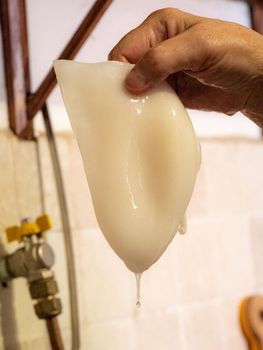 cleaning a raw adriatic cuttlefish at home in Numana, Marche, Italy