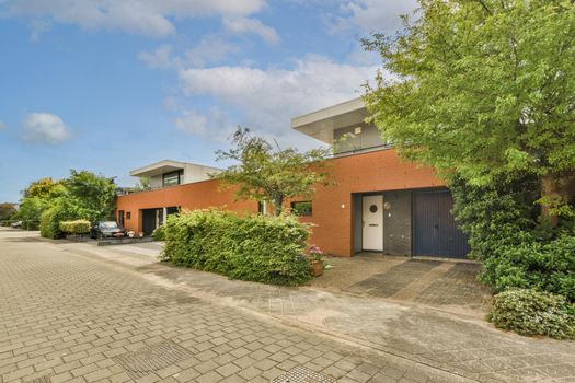 View of street near building with beauty of vegetation outsideView of street near building with beauty of vegetation outside