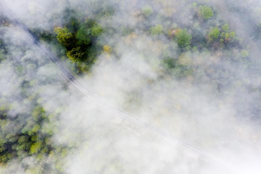 country road in the colored autumn forest with fog, aerial top view between clouds, concept of emission reduction and ecology