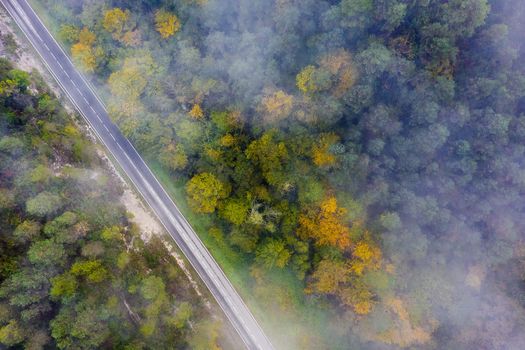 straight country road in the colored autumn forest with fog, aerial top view, concept of emission reduction and ecology