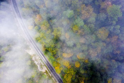 curved country road in the colored autumn forest with fog, aerial top view, concept of emission reduction and ecology